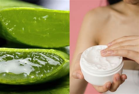 10 Best Aloe Vera Face Creams To Soothe And Replenish Your Skin