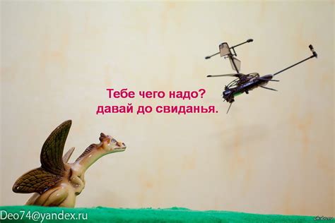 Драконы. | Пикабу