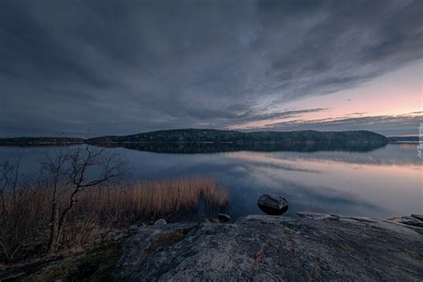 Trzciny Nad Brzegiem Jeziora