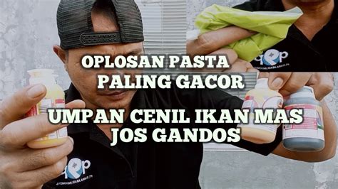 Jos Gandos Oplosan Pasta Umpan Cenil Ikan Mas Umpancenil Umpanjitu