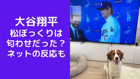 【画像】大谷翔平の松ぼっくりは匂わせだった？ネットの反応も紹介！｜ソロモンnews