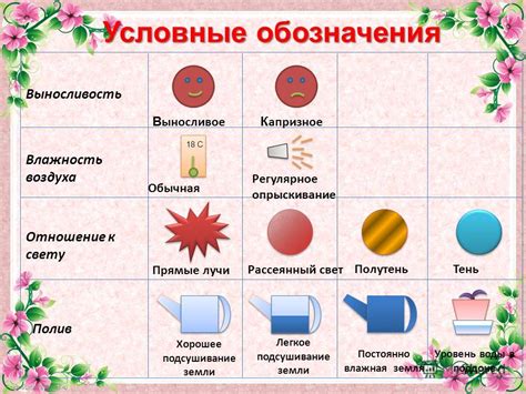 Условные Обозначения Для Комнатных Цветов - journalcatalog