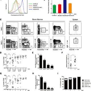 Improved Human Hematopoietic Cell Engraftment In Nod Scid Mice By