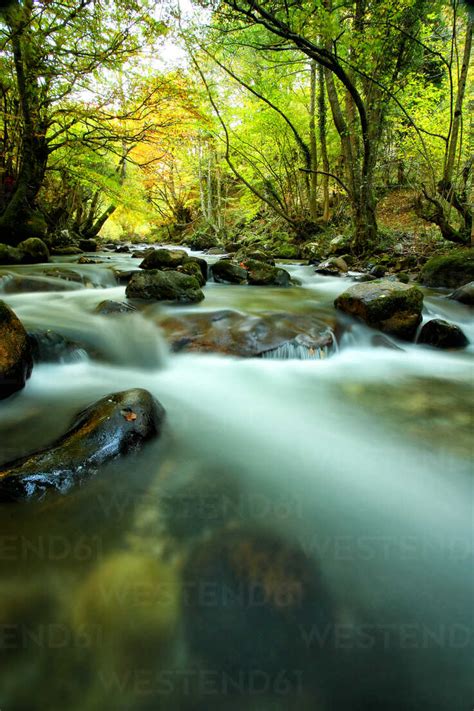 Spain Asturias Hermo In The Autumnal Natural Park Of Fuentes Del