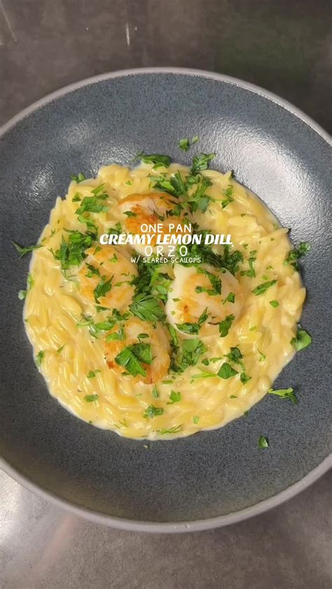 Creamy Lemon Dill Orzo With Seared Scallops Carol Bee Cooks Recipe