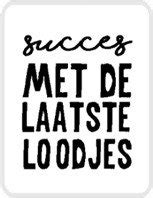 Sticker Succes Met De Laatste Loodjes Vlindersinjebuik