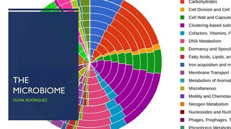 Microbiome Analysis R Tutorial