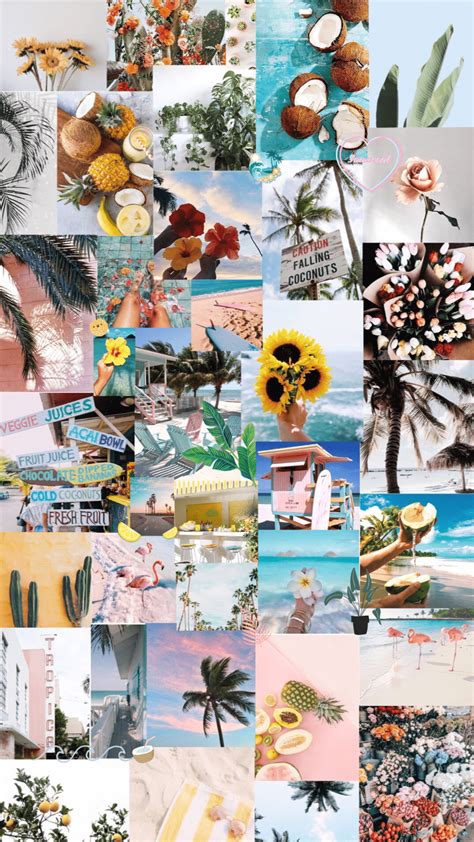 Tropical Aesthetic Wallpapers Top Free Tropical Aesthetic Backgrounds