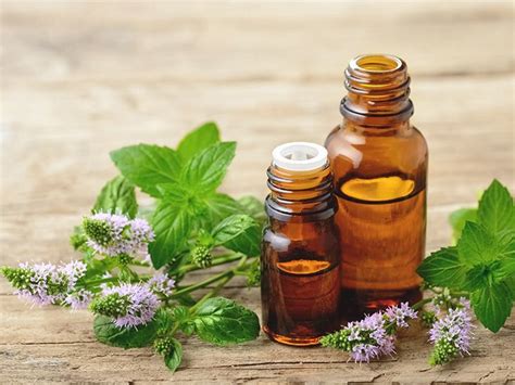 Peppermint Oil Uses Benefits And Side Effects