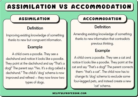 Piaget Schema Formation