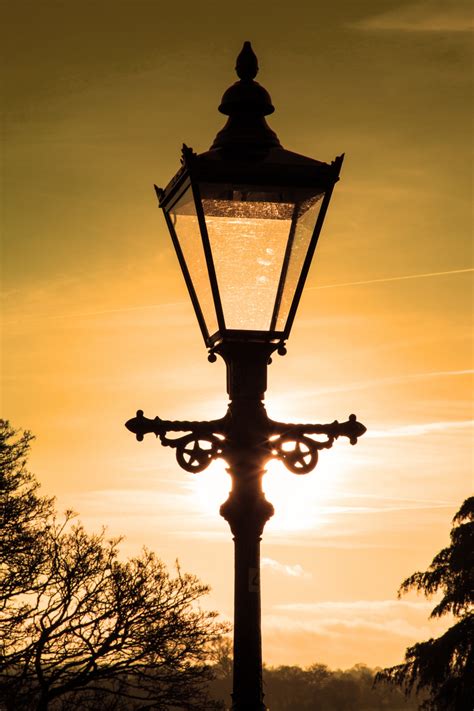 Street Lamp Free Stock Photo Public Domain Pictures