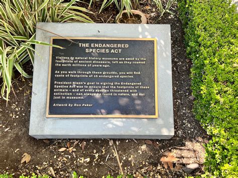 Library Grounds Endangered Species Tracks