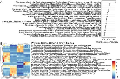 Frontiers Inference Of Drowning Sites Using Bacterial Composition And