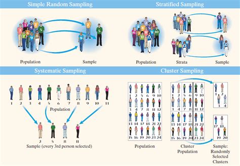 Statistics: 1.4 Other Effective Sampling Methods Diagram | Quizlet