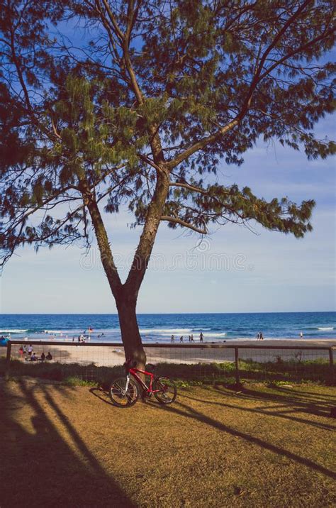 The Beach And Landscape In Surfers Paradise On The Gold Coast Editorial