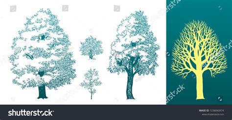 Drawing Silhouettes Trees Shrubs Vector Illustration Vector De Stock