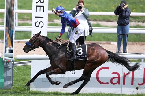 Assistent auf den Spuren von Acatenango, Monsun und Co. - GaloppOnline.de