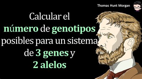 Calcular El De Posibles Para Un Sistema De Y