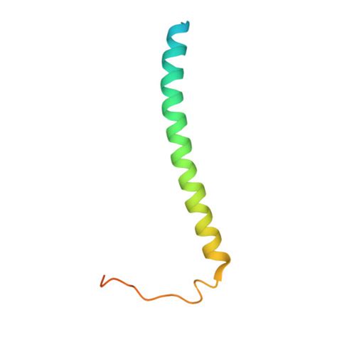 Rcsb Pdb Vy Structure Of Photosynthetic Lh Rc Super Complex Of