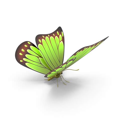 Green Butterfly Png Images And Psds For Download Pixelsquid S11201173e