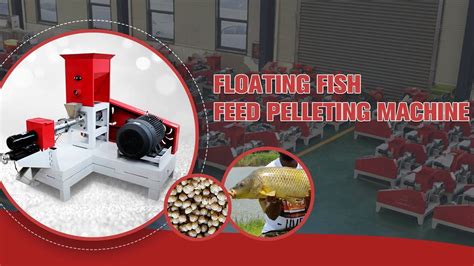 Floating Fish Feed Pellet Extruder Machine In Benin City Farm