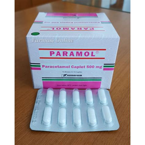 Jual Paramol Paracetamol 500 Mg Box 100 Tablet Shopee Indonesia