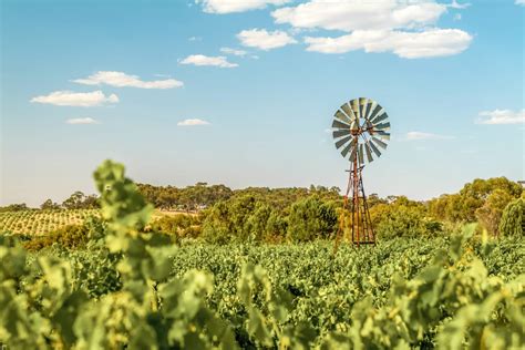 How To Spend A Weekend In The Clare Valley Travelling Tam