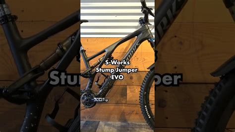 Specialized S Works Stump Jumper Evo Bike Mtb Mountainbike