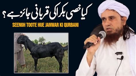 Kya Khasi Bakra Khasi Janwar Ki Qurbani Jaiz Hai By Mufti Tariq