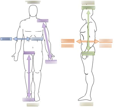 Anatomy and Physiology 1 Anatomical directions Diagram | Quizlet