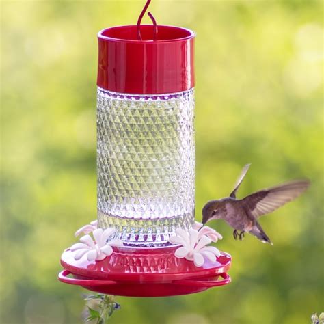 Style Selections Gravity Glass Hanging Hummingbird Feeder 13 Oz Tgf3 Ss1 At