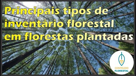 Principais tipos de inventário florestal em florestas plantadas YouTube