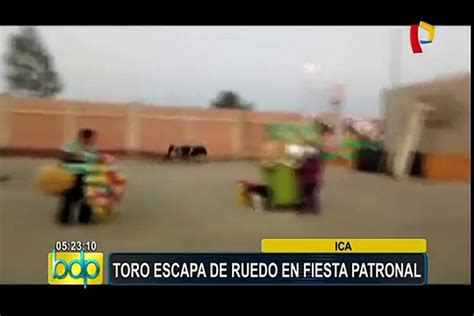 Ica toro escapa de ruedo y causa pánico en fiesta patronal Vídeo