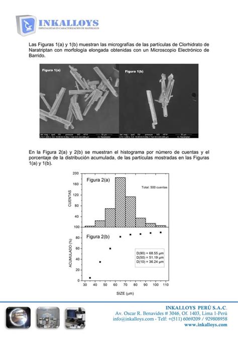 Cuál es la mejor Tecnica para medir el Tamaño de Partícula pdf