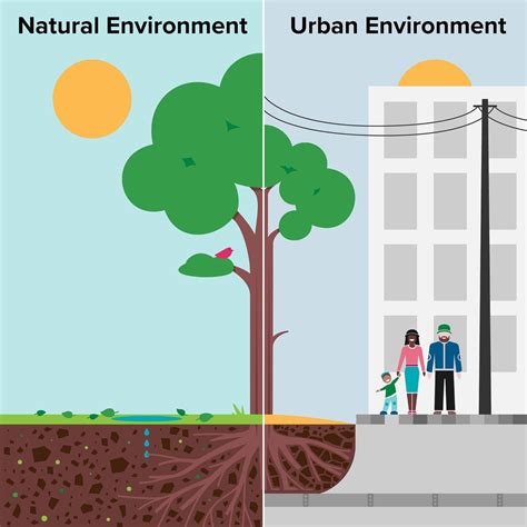 What Challenges Do Urban Forests Face Cities4Forests