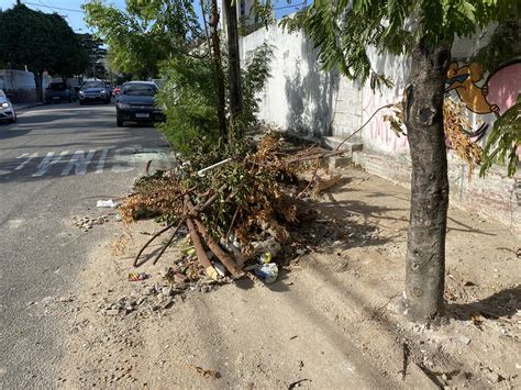 Lixões a céu aberto tomam conta de vias públicas em Fortaleza