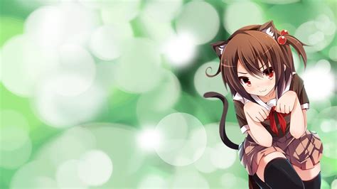 1920 X 1080 Anime Cat Girl Wallpapers Top Free 1920 X 1080 Anime Cat Girl Backgrounds