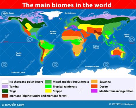 Biomas Mapa De Colores De Los Principales Biomas Del Mu Nbkomputer