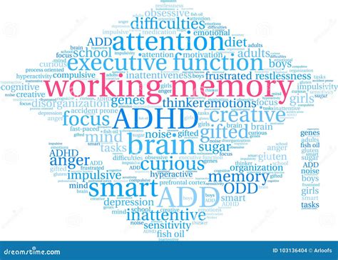 Working Memory And Conscious Awareness Outline Diagram Vector