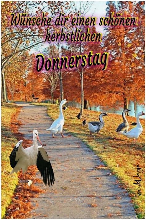 Donnerstag Im Herbst Good Morning Thursday Good Morning Country Roads