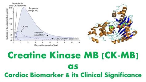 Creatine Kinase Mb [ck Mb] As A Cardiac Biomarker And Its Clinical Significance And Diagnosis Of