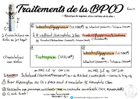 Les Traitements De La BPCO Il Faut Que Tu Respires