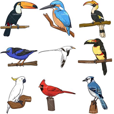 Free Rainforest Birds Clipart