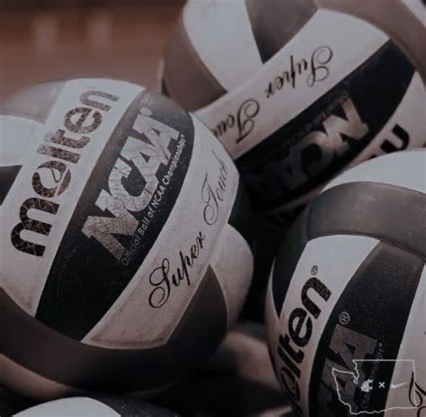 Motivational Volleyball Quotes