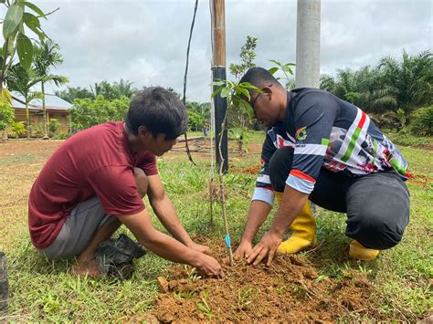 Kolaborasi Aksi Tanam Pohon Bersama Masyarakat Dan Komunitas SAD