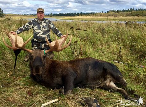 Moose Hunting Alaska | AfricaHunting.com