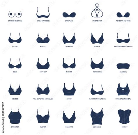 Types Of Bras The Complete Vector Collection Of Lingerie Stock Vector Adobe Stock