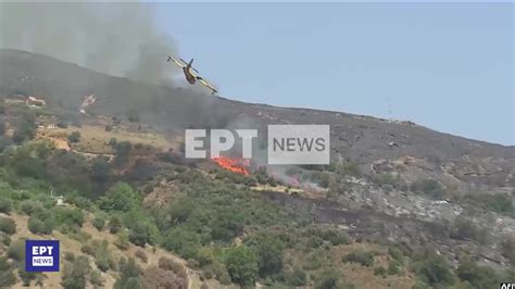 VIDEO Firefighting Plane Crashes In Greece New Vision Official