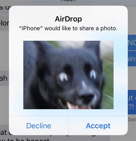 whats  funniest  anyones  airdropped