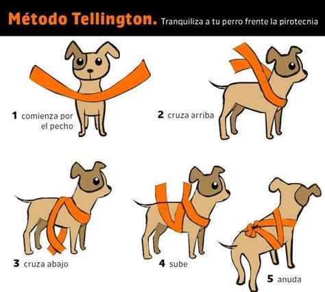 Conoc El M Todo Tellington Para Calmar A Tu Mascota Frente A La